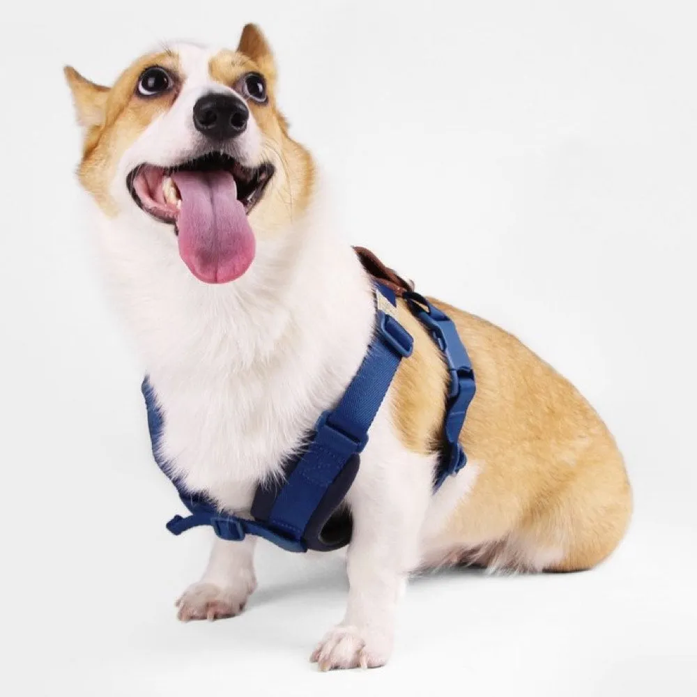 BUNDLE DEAL: Sputnik Comfort Dog Harness   Multifunctional Leash Set (Blue)