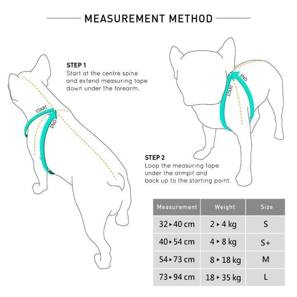 BUNDLE DEAL: Sputnik Comfort Dog Harness   Multifunctional Leash Set (Blue)