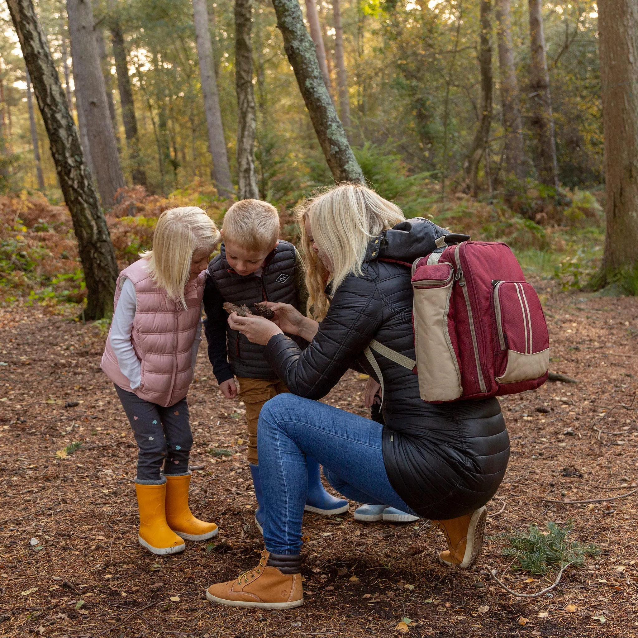 Deluxe Picnic Backpack Hamper for Four People