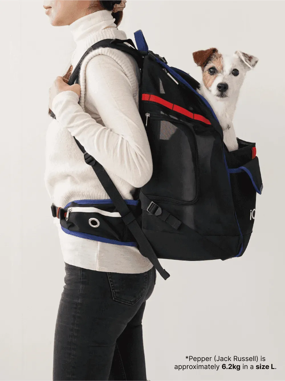 JIGE Bag | Pet Travel Backpack - Black