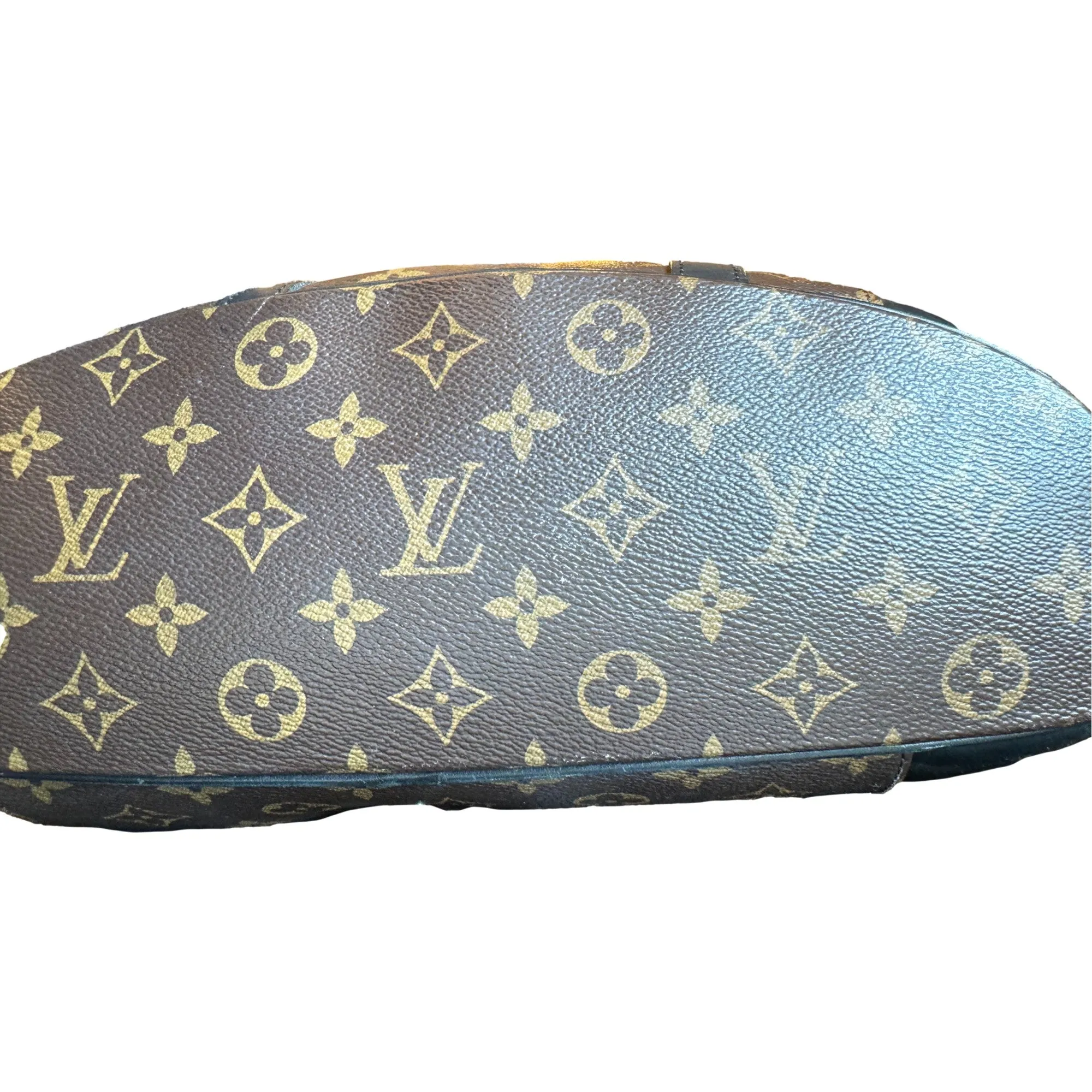 Louis Vuitton Christopher MM Monogram Macassar Canvas Backpack