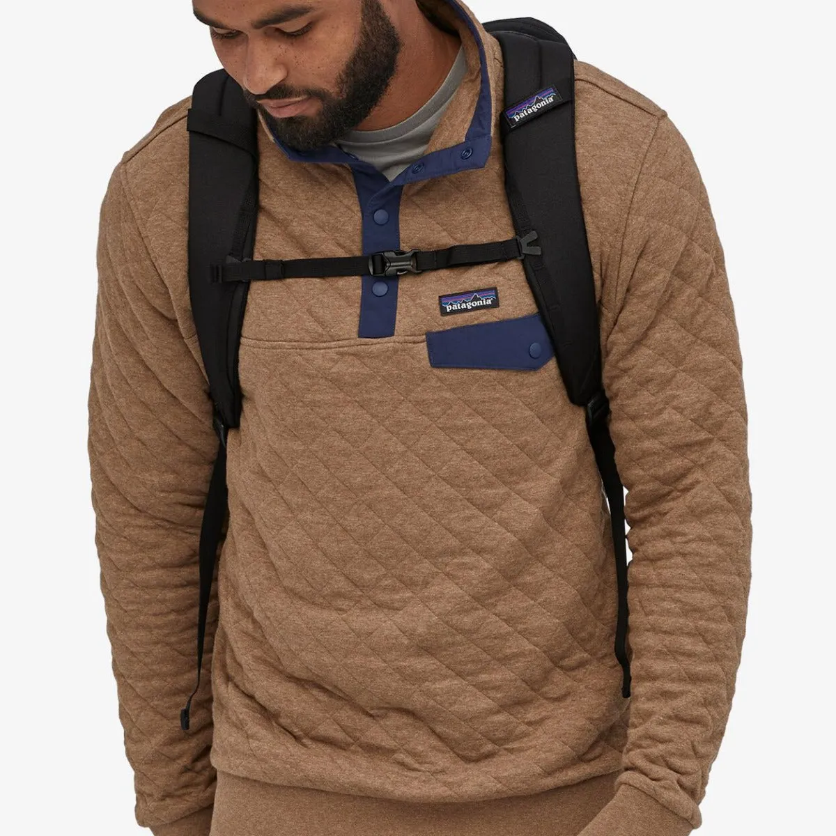 Patagonia Black Hole Backpack - 32L